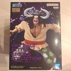 ワンピース BATTLE RECORD COLLECTION カイドウ