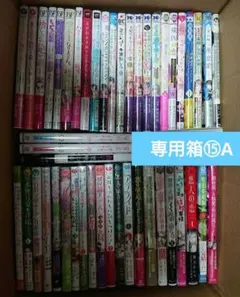 Asami Matsuo 様 専用 箱⑮A