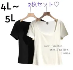 レディース 半袖 トップス Tシャツ 大きいサイズ【5L.4L】 白 黒