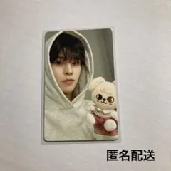 StrayKids スキズ　ズートピア トレカ スンミン