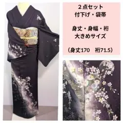 mi-♡様専用　2点セット　身丈・身幅・裄大きめサイズ　未使用付下げ　袋帯