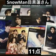 【パンフレット　フライヤーセット】 目黒蓮 Snow Man 11点