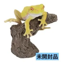 いきもの大図鑑 指まきコレクション アマガエル イエローアルビノのサムネイル