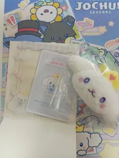 JOCHUM RURU ブローチと硬質カードケースセット