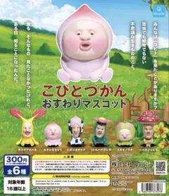 こびとづかん　おすわりマスコット全６種　コンプリート