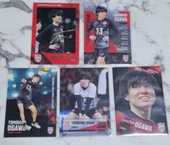 小川智大　カード　コンプリートセット　直筆サイン入り 小川智大 バレーボール男子日本代表 2024 直筆サイン カード