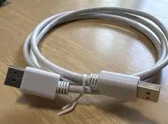 Display Port Cable 1.5m