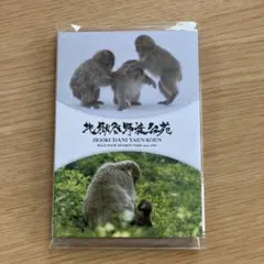 Item thumbnail for item efa47331-331c-43c8-a583-6571055534b1