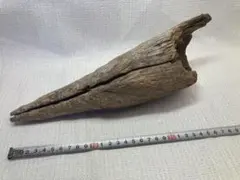 流木 約20cm 自然な形状 茶色
