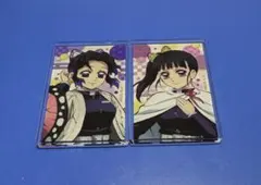 鬼滅の刃 全集中展アクリルマグネット 胡蝶しのぶ 栗花落カナヲ
