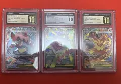 CGC10 3連 メガオーダイル メガニウム エンブオー ex SAR PSA