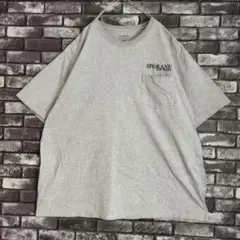 企業 刺繍 ワンポイントロゴ スポケーンソフトウェア 霜降り Tシャツtシャツ