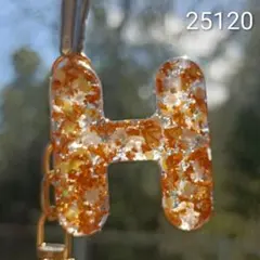 Item thumbnail for item 6f449aa4-dd7e-4bf2-bfc7-3b5501596411