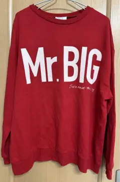 Zara Mr. BIG 赤色 スウェットシャツ