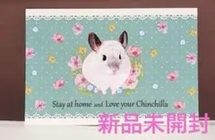 新品未開封★ロイヤルチンチラ　ブランケット