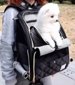 Item thumbnail for item c7c020c6-c738-4aa5-a419-bb6694d34bd5