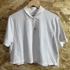 【番4620】　NIKE ポロシャツ　ショート丈　レディL