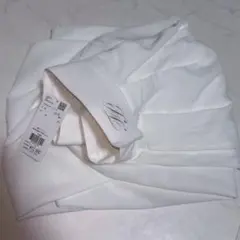 Item thumbnail for item 485ded84-6684-42e2-aba0-ff5f6f91a4dd