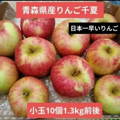 青森県産 りんご 千夏 小玉10個 1.3kg前後のサムネイル