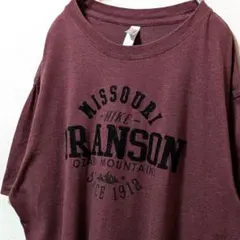 ティーマックスブランソンオザークマウンテンズ刺繍 Tシャツレッド赤XL古着