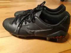 Item thumbnail for item 5a61384a-9a9a-4372-b196-08f71d927124