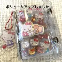 M5☆シール帳【完成品】リフィル12枚、13ページ