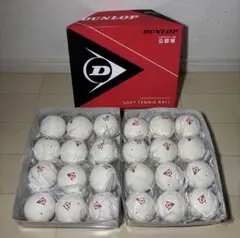 Item thumbnail for item cf45d1dd-d99c-491a-a0a0-d824b20f3c60