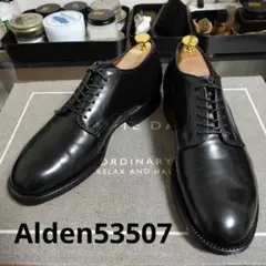 ALDEN オールデン プレーン 8D オールデン プレーントゥ ブルーチャーカラー 8 シェルコード