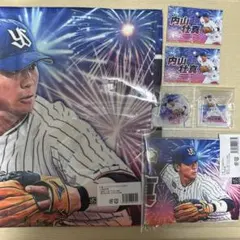 東京ヤクルトスワローズオンラインくじ F賞 内山壮真 - メルカリ