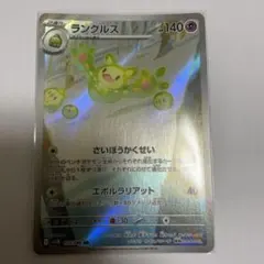 2025年最新】ランクルスの人気アイテム - メルカリ