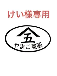 430けい様専用