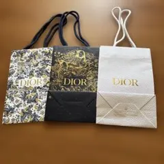 Dior ディオール ショッパー専用 ビニールバッグキット セット - メルカリ