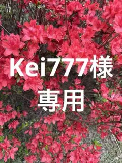 kei777様専用