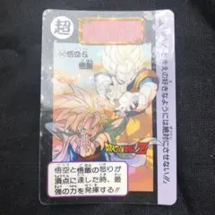 1992 DRAGONBALL カードダス「悟空&御飯」「トランクス&ベジータ」