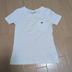 LACOSTE ポケットTシャツ ホワイト 34