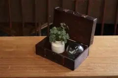 木箱 インディアン ローズウッド 70-80年代 アンティーク 古道具 | Mercari