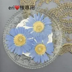 eri♥様専用♡♡押し花♡No154♡