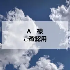 A様ご確認用ページ
