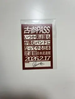 ヤングスキニー　しおん　日本武道館　古参PASS ステッカー