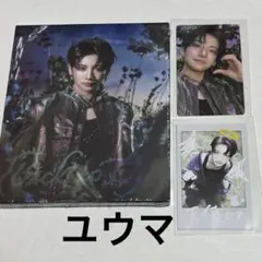 &TEAM Back to Life ROAR 新品 未開封CD YUMA - メルカリ