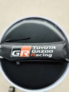 Item thumbnail for item bfc12bea-19fd-492d-8405-3e533aa199a6