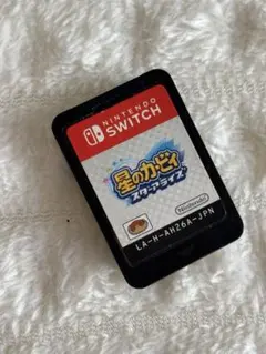 Switch 星のカービィ スターアライズ