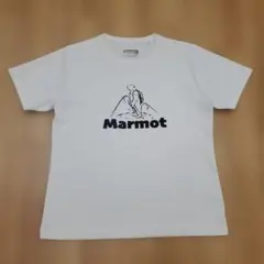 美品 Marmot マーモット ロゴプリント Tシャツのサムネイル