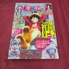 ONE PIECE magazine 特集 週刊少年ジャンプとONE PIEC…
