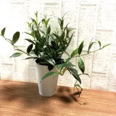 メル48779様 リクエスト 2点 まとめ商品