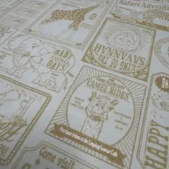 Item thumbnail for item 9c25df17-2377-43aa-9dc3-af42a7e46b31