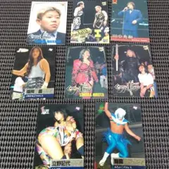 2026年最新】獅龍 プロレスの人気アイテム - メルカリ