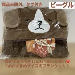 Item thumbnail for item d093d099-b34e-4fc4-9c5c-3146bcf9dcc4