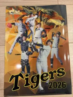 非売品】阪神タイガース 甲子園球場来場記念グッズ2026 クリアファイル