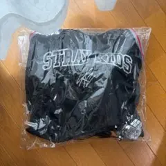 Stray Kids スキズ dominate アプグレ特典 グッズ 静岡エコパ